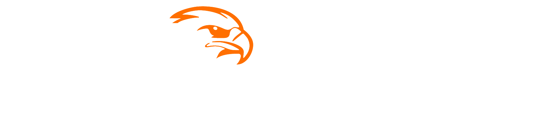 Maverick Creative Agency Logo - White with a stylized orange eagle head, representing innovation and strategic creativity.